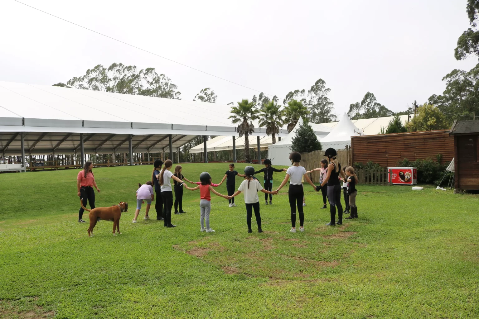 Festas de Aniversário 1