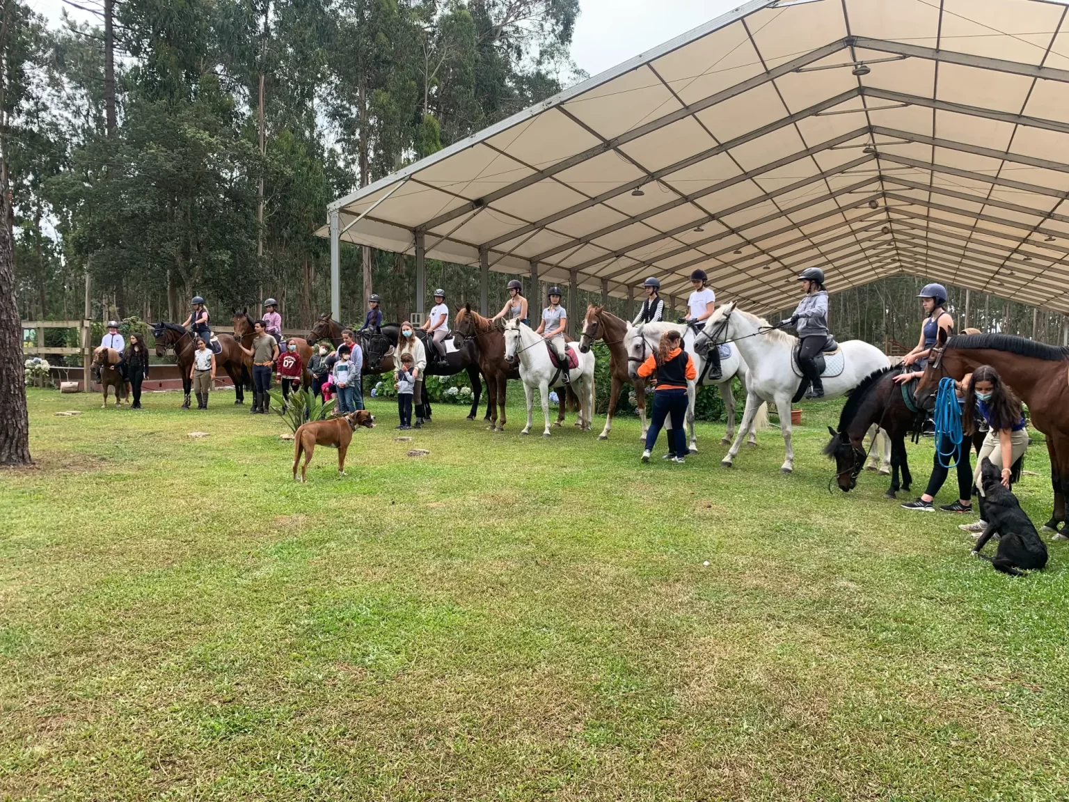 Festas de Aniversário 4