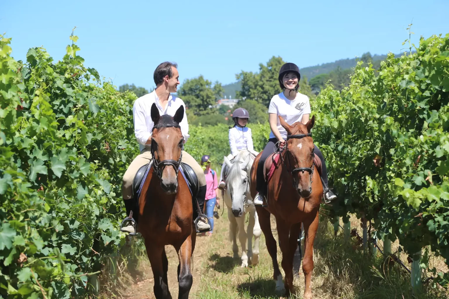 Programas em Família 1