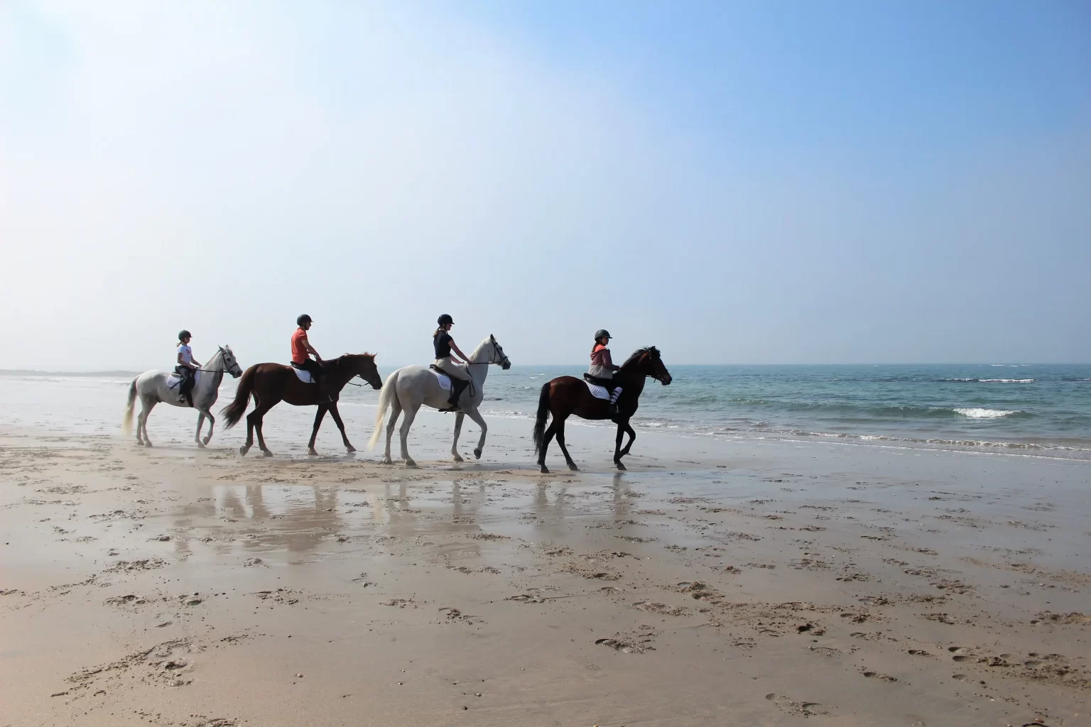 Programas em Família 2