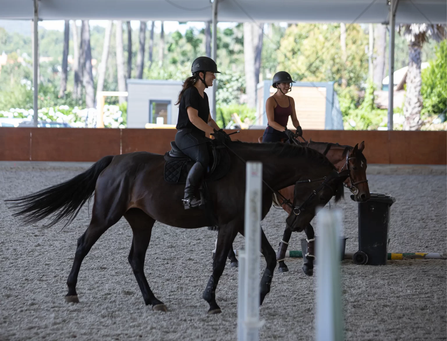 centro hipico, escola de hipismo, equitação, hipismo, cavalos à venda, venda de cavalos, andar a cavalo, estabulação, cavalos a penso, aulas de equitação, escola de equitação,