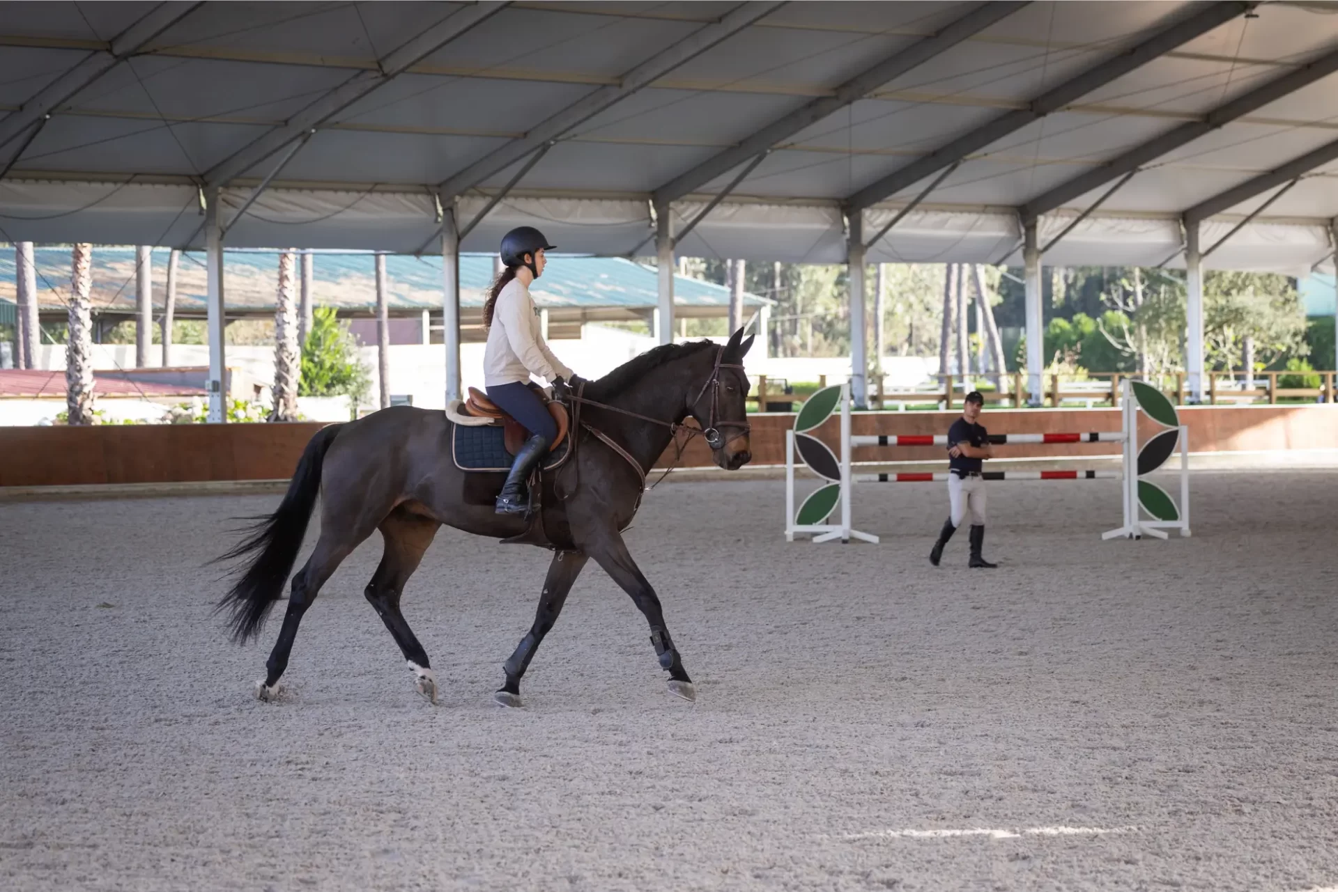centro hipico, escola de hipismo, equitação, hipismo, cavalos à venda, venda de cavalos, andar a cavalo, estabulação, cavalos a penso, aulas de equitação, escola de equitação, haras em portugal, show jumpi (15)