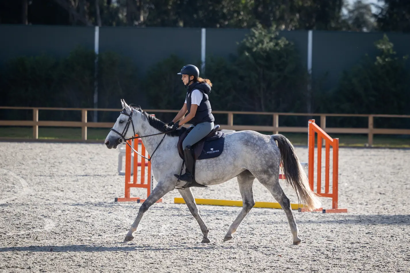 centro hipico, escola de hipismo, equitação, hipismo, cavalos à venda, venda de cavalos, andar a cavalo, estabulação, cavalos a penso, aulas de equitação, escola de equitação, haras em portugal, show jumpi (16)