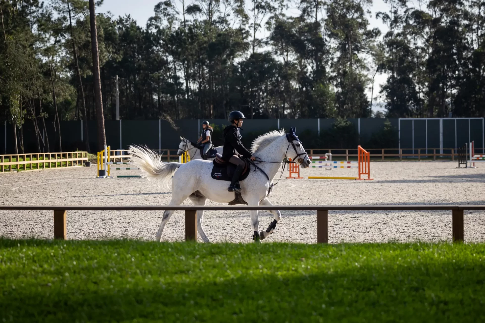centro hipico, escola de hipismo, equitação, hipismo, cavalos à venda, venda de cavalos, andar a cavalo, estabulação, cavalos a penso, aulas de equitação, escola de equitação, haras em portugal, show jumpi (17)