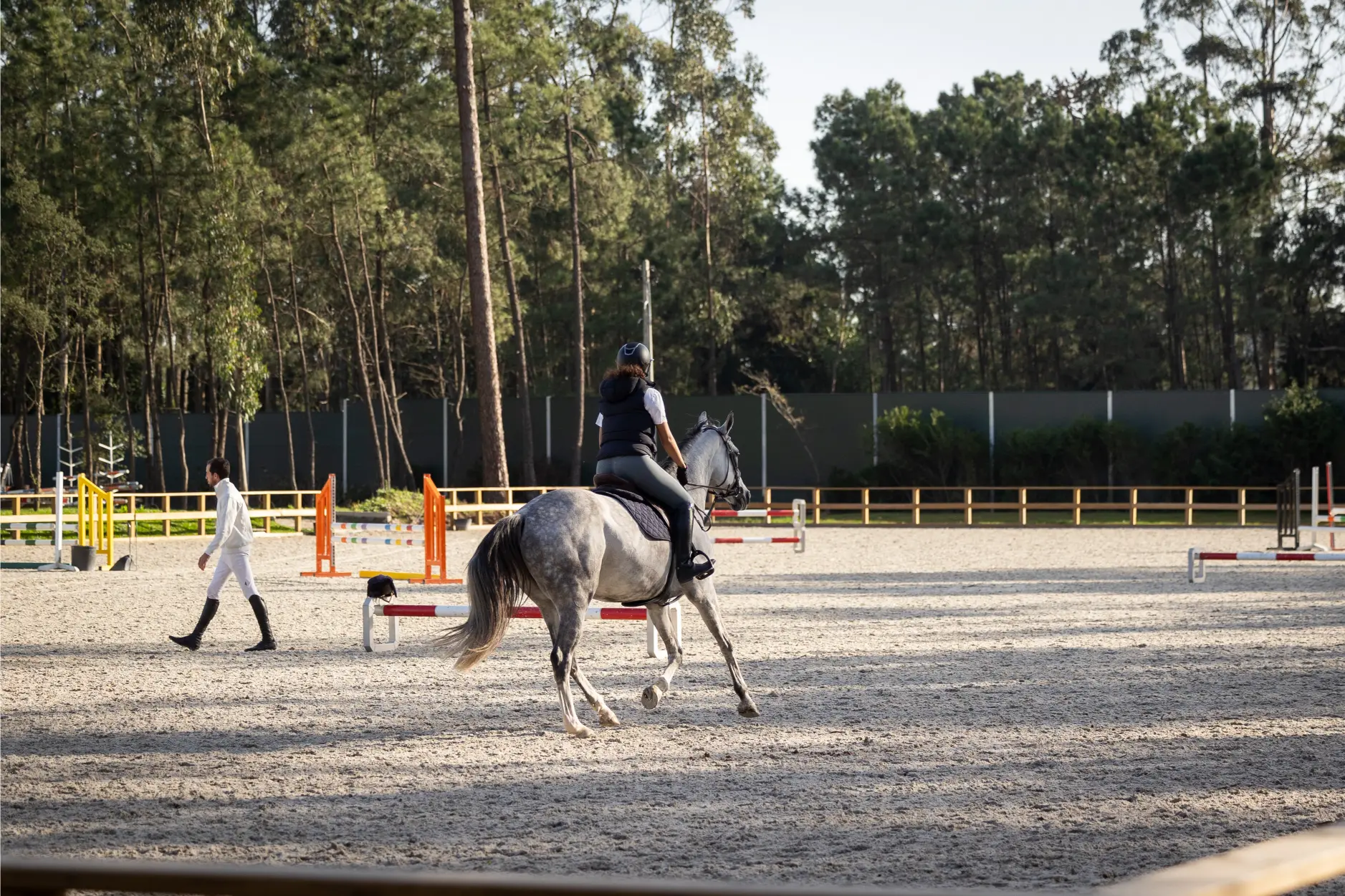 centro hipico, escola de hipismo, equitação, hipismo, cavalos à venda, venda de cavalos, andar a cavalo, estabulação, cavalos a penso, aulas de equitação, escola de equitação, haras em portugal, show jumpi (18)